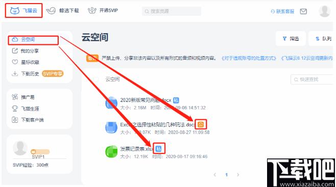 飞猫云下载,文件共享,网络共享